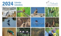 Madrugada “Birds of the Algarve” 2024 Calendar 